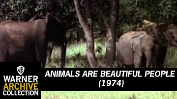 Original Theatrical Trailer | Animals are Beautiful People | Warner Archive