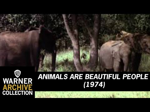 animals-are-beautiful-people-(original-theatrical-trailer)