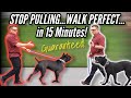 How to STOP your DOG PULLING on LEASH...GUARANTEED!  / / Dog Trainer's Secret Revealed