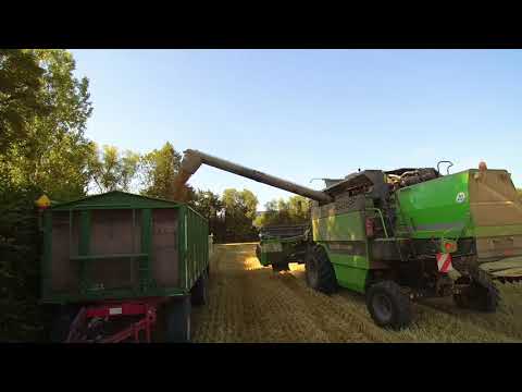 Getreideernte 2019: Deutz