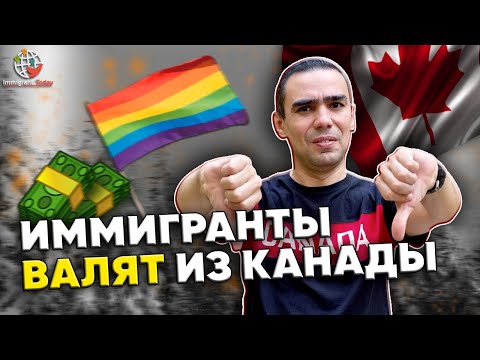 Видео: Кто принимает законы в Канаде?