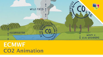 ECMWF - CO2 animation