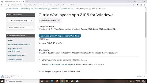 Fix Error Selfservice Exception, a Breakpoint Has Been Reached/Citrix Workspace App Error