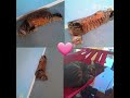 #chat