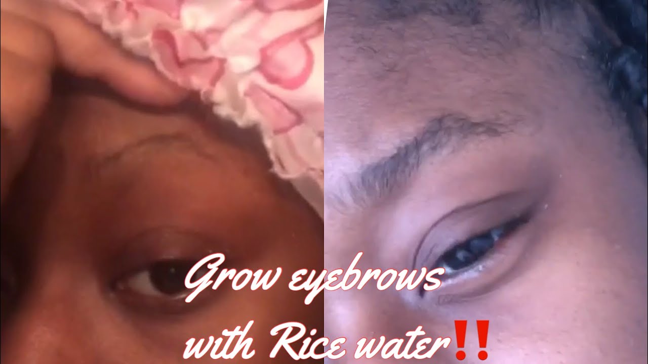 Grow Eyebrows With Rice water Fast Results‼️ YouTube