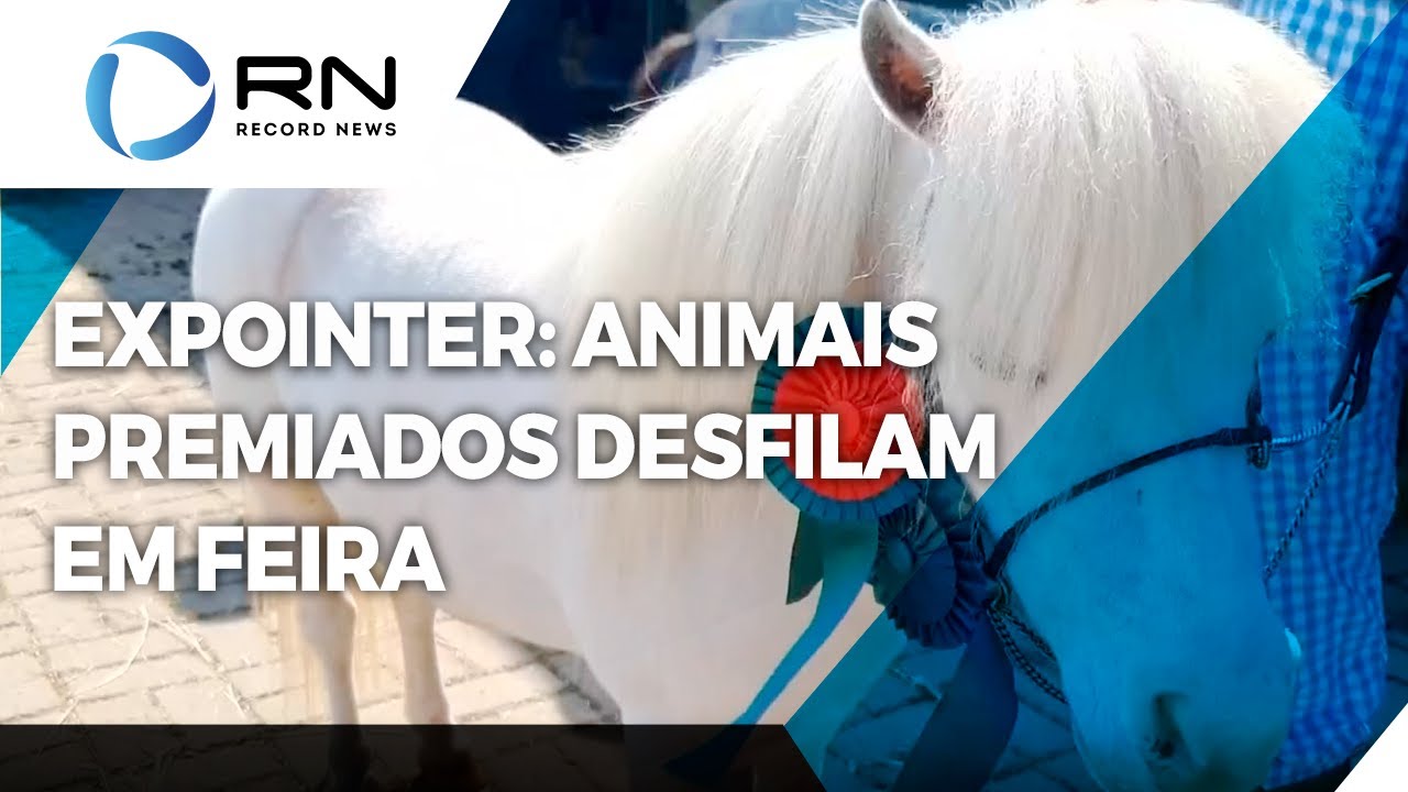 Expointer 2022: animais premiados desfilam em feira