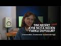 Tını Nedir? Aynı Nota Neden Farklı Duyulur? I Harmonikler, Overtonelar ve Sesin Kimliği