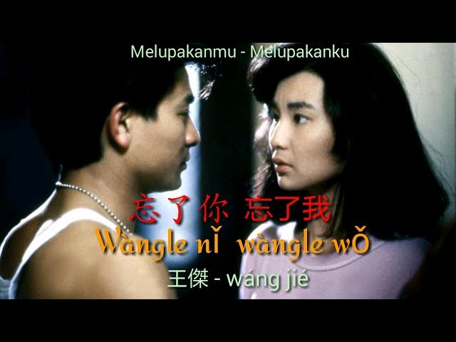 忘了你  忘了我 Wang Le Ni, Wang Le Wo-王傑 - Wang Jie (Lyrics) class=