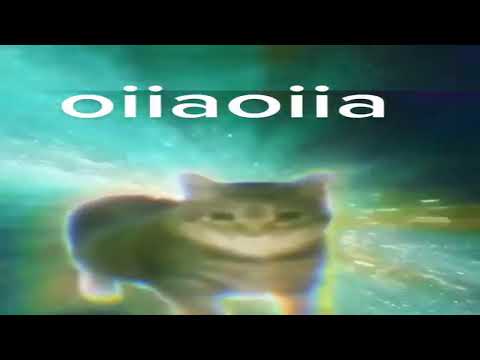 OIIAOIIA CAT HARDCORE INSANE PSYCHEDELIC REMIX + SPECIAL ENDING