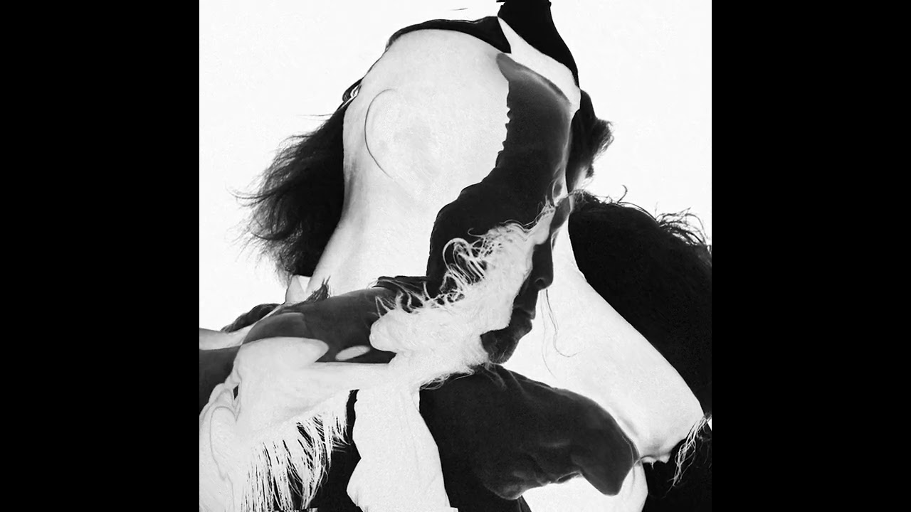 Tonton Preoccupations - Ricochet di YouTube Tonton Preoccupations - Ricochet di YouTube