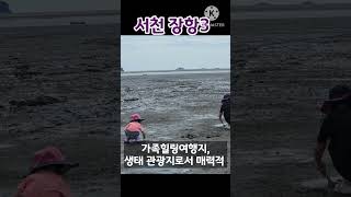 유네스코 세계자연유산 장항송림갯벌  #서해가볼만한곳 #여행 #갯벌 #유네스코