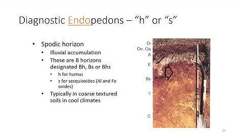 Soil Classification and Taxonomy Part 2