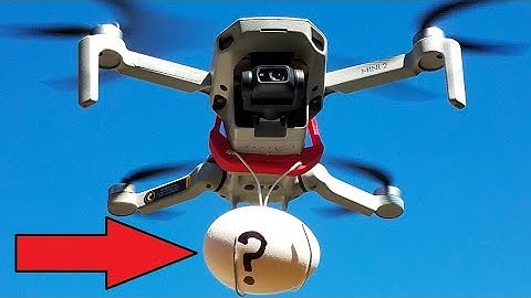 DJI Mini 2   Easy Payload Egg/Golf ball  Drop System for any drone. #epsteinfiles #maralago