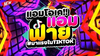 #มาแรงในTIKTOK ★แอมโอเค แอมฟาย เควนชานา เต่งเน่งเนงเน่งเนง★ 🔥 | DJ PP THAILAND REMIX