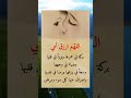 اللهم ارزق امي بركة في عمرها حالات واتس دعاء مستجاب باذن الله   ستوريات خواطر روائع دعاء