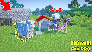 KHÁM PHÁ THÚ NUÔI CỦA PRO CON CỪU CÓ BỘ LÔNG KIM CƯƠNG VÔ HẠN TRONG MCPE | Thử Thách SlenderMan