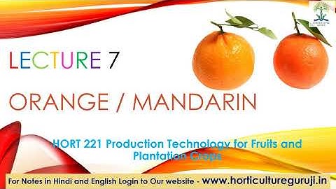 #hort211 HORT221 | Lecture 7 Orange | Mandarin | संतरा | किन्नू