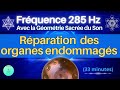 Frquence 285 hz  rparation des organes  frquence de gurison  avec la gomtrie sacre du son