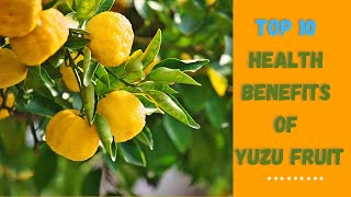 Top 10 Amazing Facts About Yuzu Fruit - Healthy Benefit of Eating Yuzu Fruit