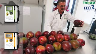 INIFAP Researcher on NIR Tools for the Mango & Avocado Industry