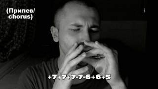 Метель (ДДТ) табы для губной гармошки