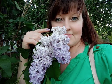 Настойка с сиренью лечебная!Как приготовить!