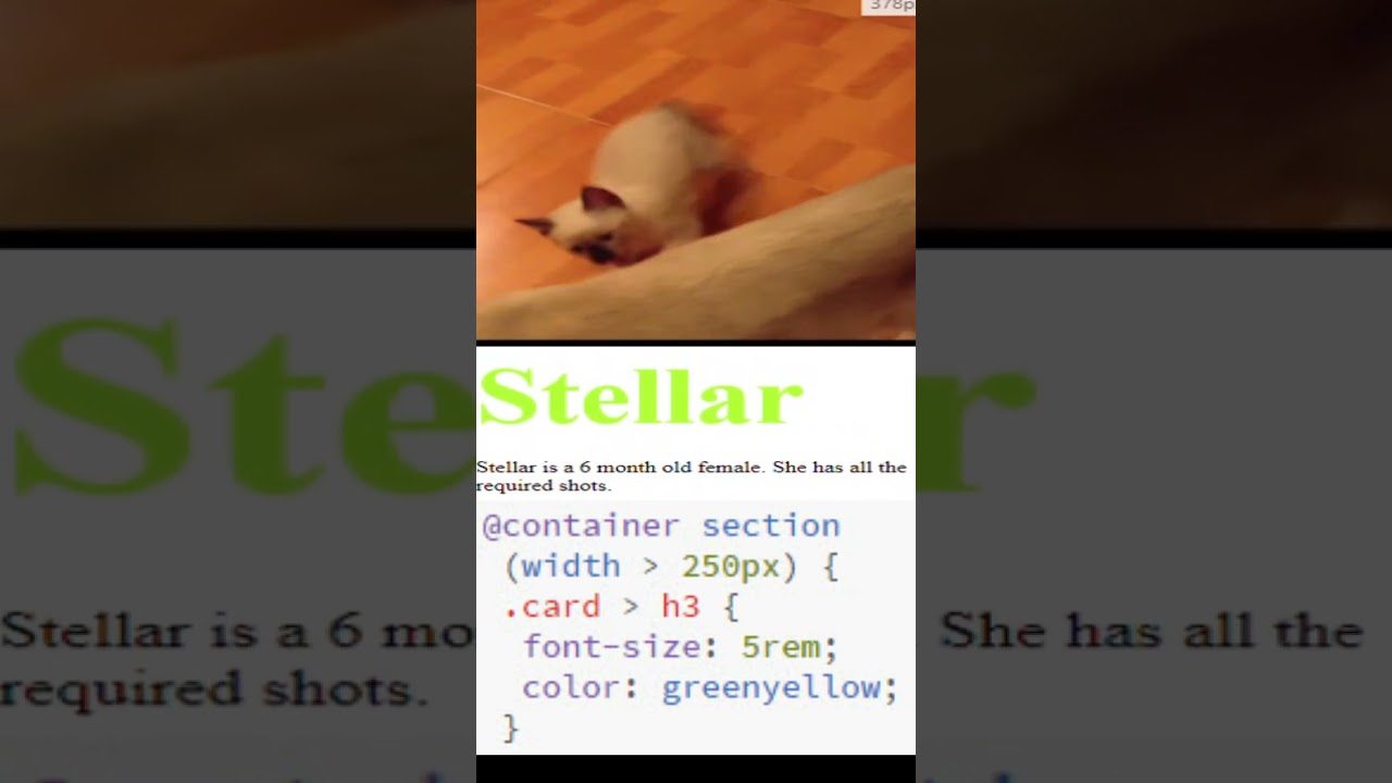 CSS container change font size