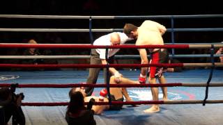 Amagov, the winner vs Fjodorov BaltFight Pro 02 FEB 2013 MMA Fight