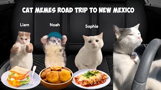 Cat Dancing MEMES Road Trip Compilation