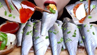 ASMR RAW GIZZARD SHAD 전어회 리얼사운드 먹방 EATING SOUND MUKBANG