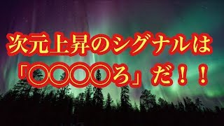 【次元上昇のシグナル】周りから「◯◯◯◯ろ」と言われたらレベルアップ