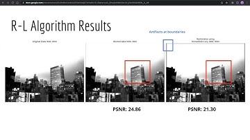 Xiaoyu Bi: Blind Deconvolution with Richardson Lucy Algorithm