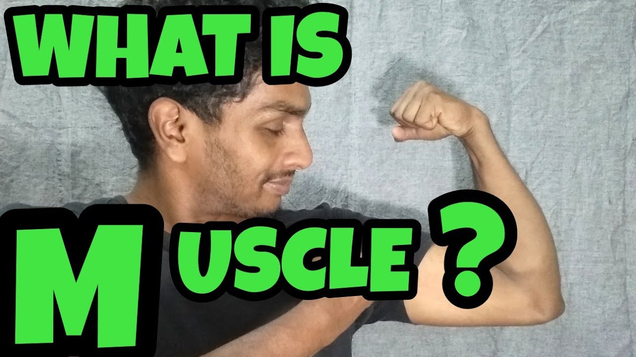 What is muscle malayalam video - YouTube