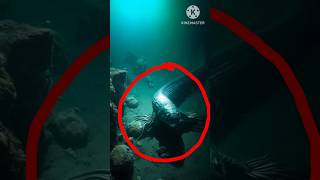 Mariana Trench   🥶😱- #shorts #shortvideo #youtubeshorts #shortsfeed