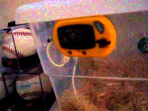 video phone beyonce mp3 What I Got from LLLReptile