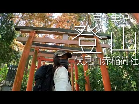 【ASMR】小声で山歩き/女子ソロ登山/伏見白赤稲荷社