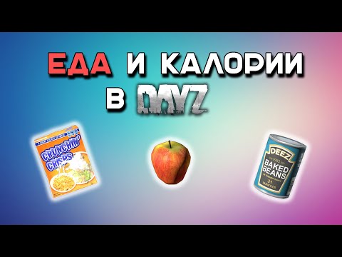 Видео: Всё о Еде и Калориях | DayZ 1.13