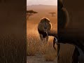 Brave Dog Saves Deer From Lion Attack | Unreal Wildlife Rescue | AI Animal Animation