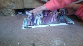 mlp pmv DNA