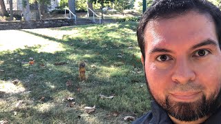 Making Friends with Fox Squirrels (Sophia's Rescue Day)  😍🐿🤗