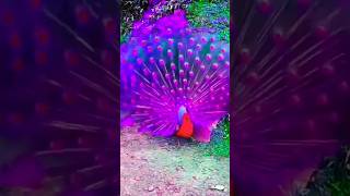 allah je koto mohan sristi jogot tar proman islamic gojol #allah #loveallah#