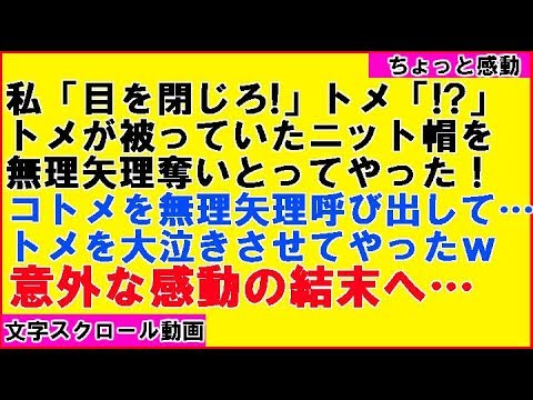 【ちょっと感動】トメを椅子に座らせ、私「目を閉じろ！」→トメ「やめてぇ！」私「いいから目をつむれ」→目を開けたトメ大泣きｗｗ（感動!涙腺崩壊!胸キュン〜心の忘れものチャンネル〜）