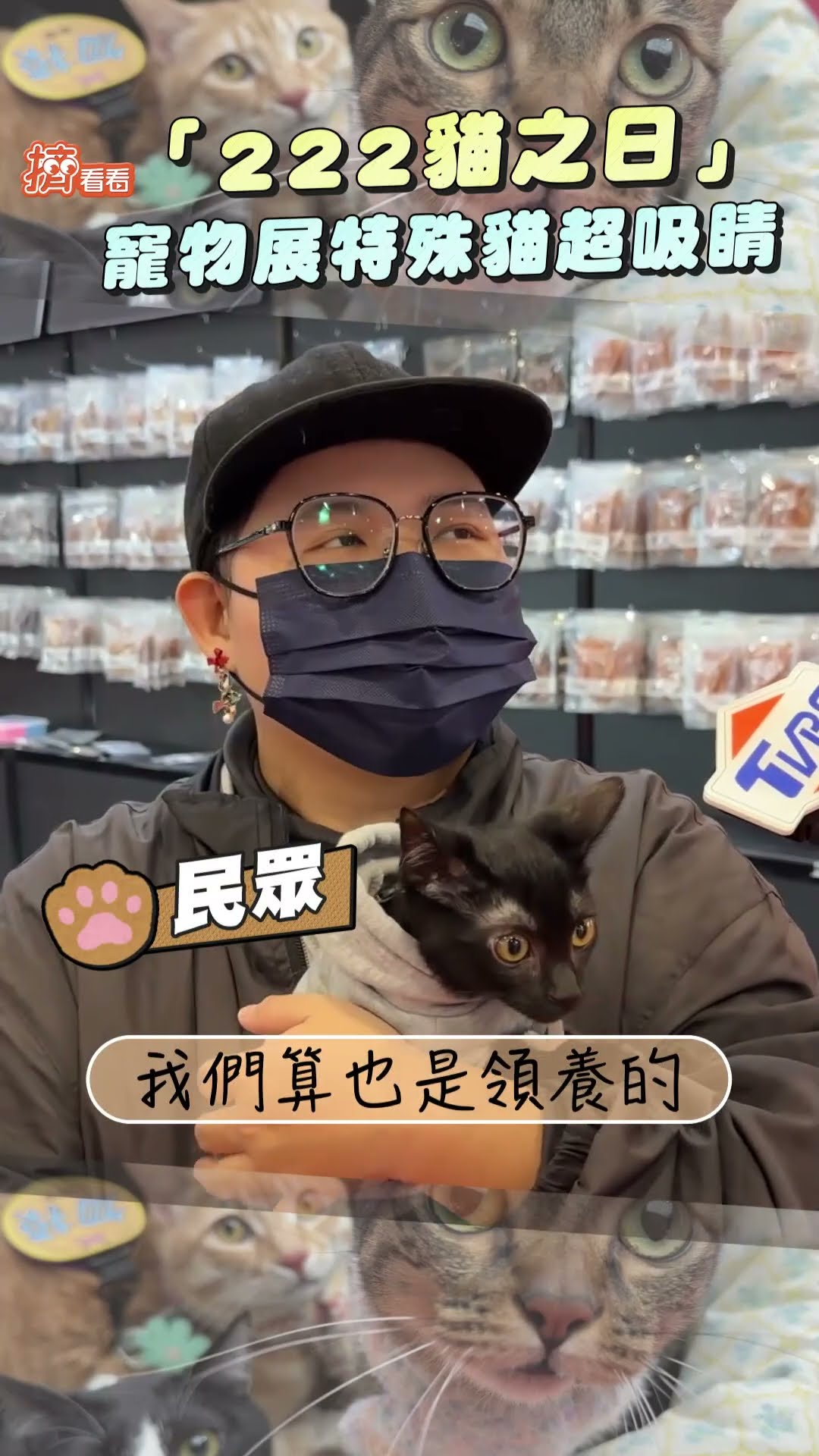 奴才們注意! 「222貓之日」寵物展「銀毛、包子臉」特殊貓超吸｜TVBS新聞@TVBSNEWS01