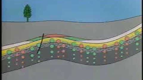 Petroleum Exploration methods