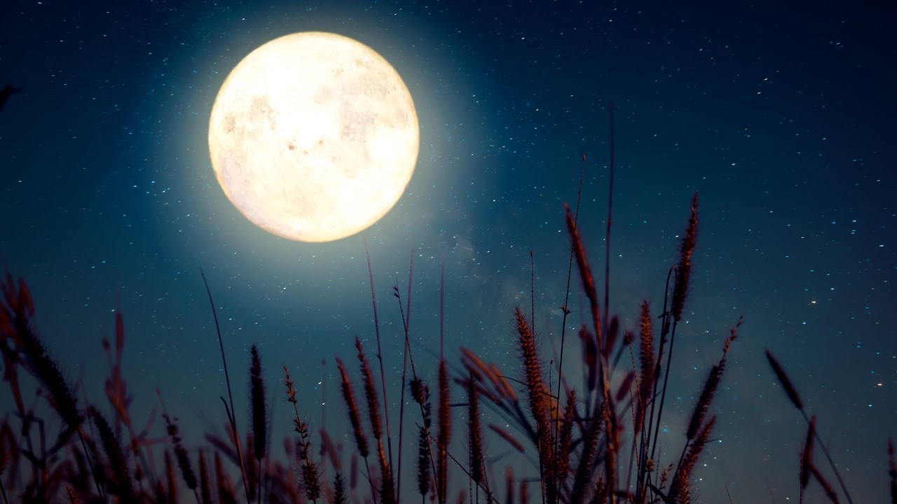 30 Min Epic Sleep Music ★︎ Power Nap ★︎ Fall Asleep Fast, Melatonin Release