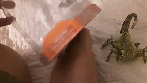 Hexbug scorpion again