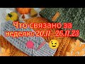 Вязание. ЧТО СВЯЗАНО ЗА НЕДЕЛЮ: 20.11 - 26.11.2023. Готовая работа, процессы. Обзор.