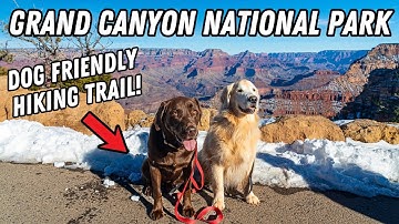 We took our DOGS to the GRAND CANYON!