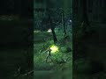 Harry Potter and the Goblet of Fire #harrypotter #game #gaming #games  #gameplay