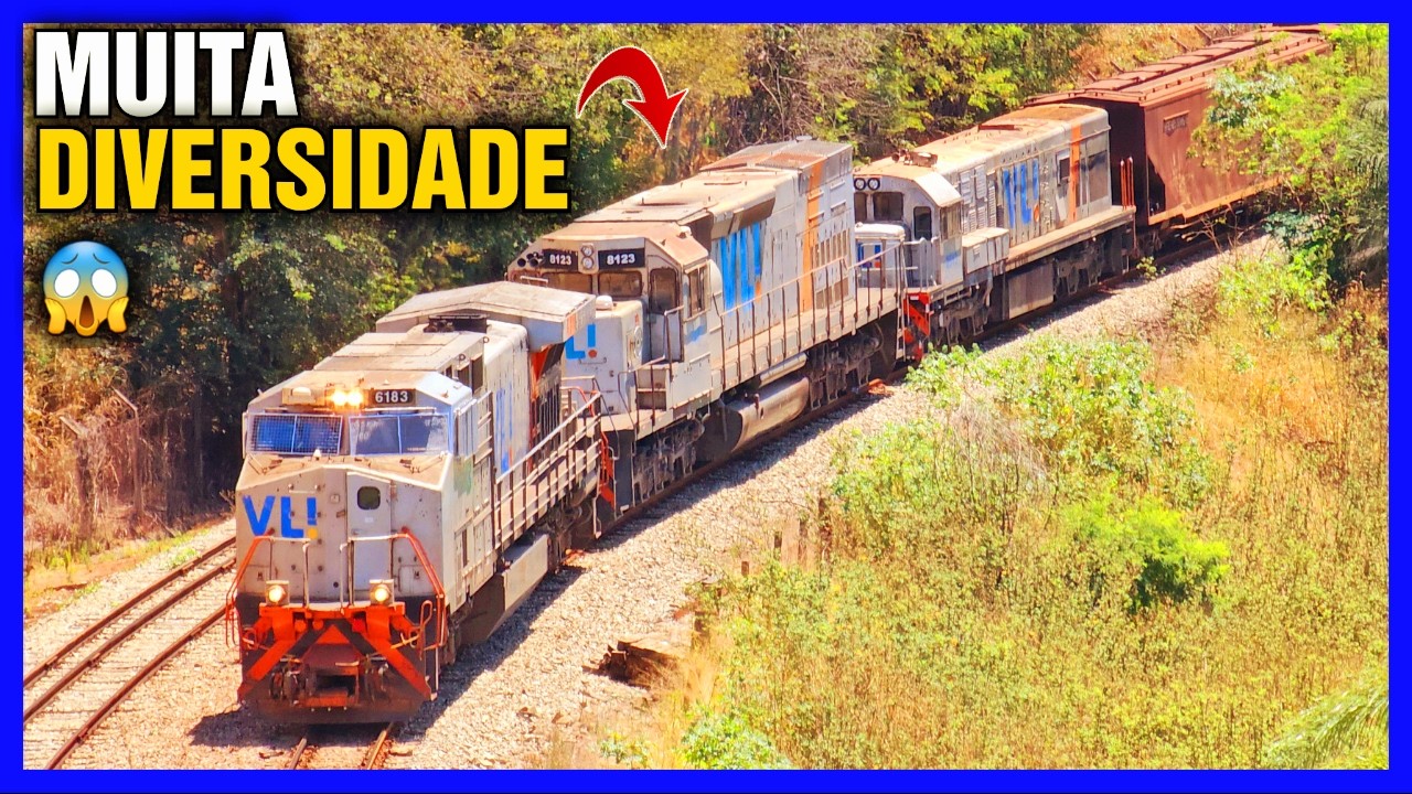 GRANDE VARIEDADE DE LOCOMOTIVAS E CARGAS NOS BELOS TRENS DA VL!